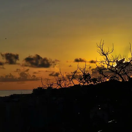 Apartment Seculo Xxi-c, A In Madeira